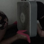 farting with bb jpf2i bunny brown