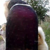 classic say yes to crack rottenonionz