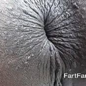 destinee jackson 7 fartfantasy