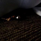 lmt - giantess farts - fart collection lmt little miss toots