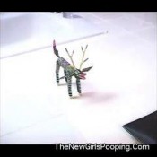 sofea7 free pooping scat clip