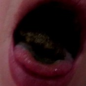 elc 23 russian scat collection 7822552d elecebra