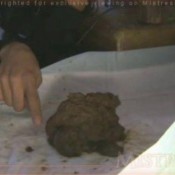 delilaht kaka bossy latin bitch delilah