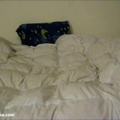 blackpantyraid classis fart files disturrbia