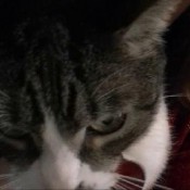 jtrvid109 fart collection jackdaripper