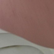 felisity stagnation in the anus black and smooth