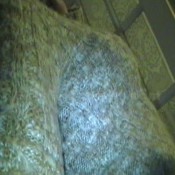 fart classics besteverdaria5 girlsgonegross