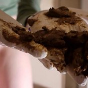 kv direkt vor deiner nase felia