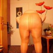 poop collection emergenzy 7 emergenzy