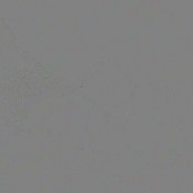 bratperversions ass smell panties