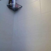 lady milena m dels kacken nur ins plumpsklo