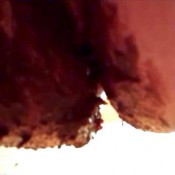 julie shows off her sexy tits while taking a large shit and sitting in her mess julie scat