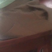 farting throughout the day gross goddess