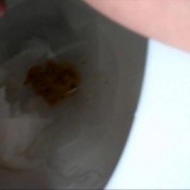 watch me shit pov cosmicgirl