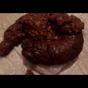 longhugeshit the fart babes