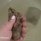 disgusting woman have got pleasure in a public girls`s bathroom samantha starfish