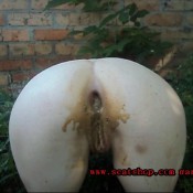 deep anus , all the ass in shit . hd dirtygirlmary