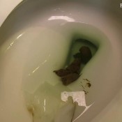 weekend of shit hd scatfreekzclub