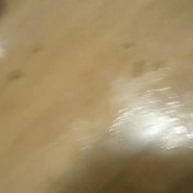 naomi`s liquid living room enema shits voodoovixen