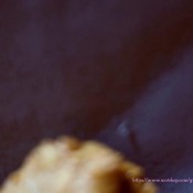 shit on couch beause i`m too lazy hd lucyscat