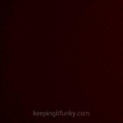 lisa marie`s `fuckit` bucket dumps!! hd funkyladies