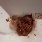 night happened the fart babes