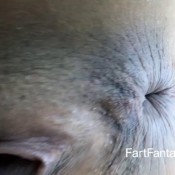 kimberly chi 40 fartfantasy