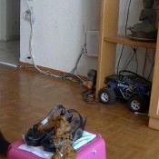 ennoble my shoes with soft and thin shit veredle meine lackschuhe m