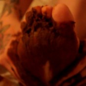 my sweet shitty feet and nasty footjob (no audio) hd sweet betty parlour