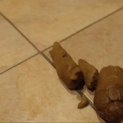 peeing and pooping on the bathroom floor of a casino! hd candiecane