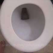 zelda`s leaving a lil treat for my roomate!! funkyladies