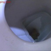 afternoon dump thenewgirlspooping eve fetish queen