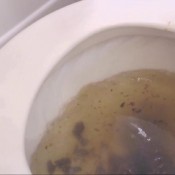 desperate ass explosion! hd cosmicgirl