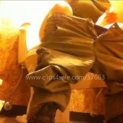 compilation girl bad pooping lucy loo