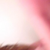 nice long turd! sexyscatforyou