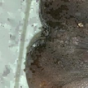 3 am farting an shitty mess hd ebonyscatbbw