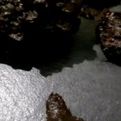 push my bikini huge shit hd the fart babes