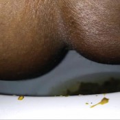 venus` booty bursts and backfires! hd funkyladies