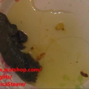 shitting on a plate hd veronica steam