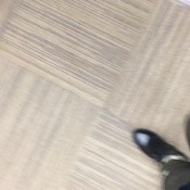 python pants hd kinkycat