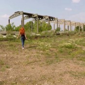 pooping outside hd diabolic sigal janet