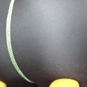 school yoga pants rudegirl