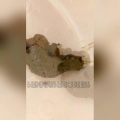 catch my fat shit hennathegoddess