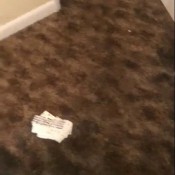 starbursts diarrhea carpet splatters (part 1) voodoovixen