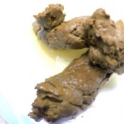 sexy poop for your breakfast! diabolic sigal janet