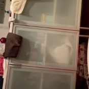 much too early hd kinkycat