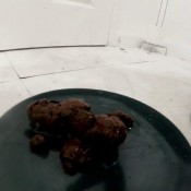 kimchi coffee shit hd demonadragon