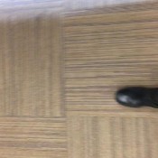 classic/classy poop at work hd kinkycat