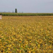 country girl pee in her garden hd liliane hart