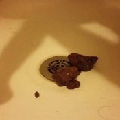 thick stiff log hd foxyj